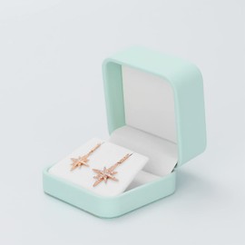 Oirlv PU Leather Earring Box - Green Elegant Earring Box for Valentine's Day & Birthday Gift