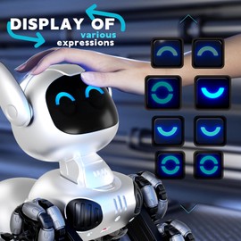 4DRC Robot Dog Toys for Kids, Remote Control Robots Dog with Auto-Demonstration, RC Stunt Remote Control Smart Robot for Age 8 9 10 11 12 Year Old Boys Girls Birthday Gift Present