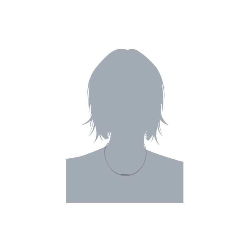 Boccia Necklace 0802-01, Stainless Steel, Diamonds, cubic zirconia