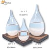 fullion Storm Glass Drop L Storm Glass with Wood Base
