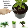 3 Pcs Stainless Steel Mini Garden Tools Set Small Tiny