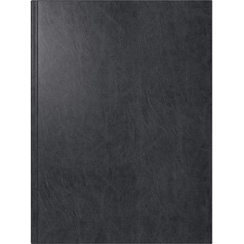 rido/idé Book Calendar Model Mentor (2025), 1 Page = 1 Day, A5, 352 Pages, Miradur Cover, Black