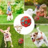ZMAYPLUS Dog Toy Durable Rubber Star for Gentle Chewers Promotes
