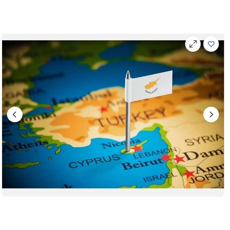 EU Certified Organic, Mediterranean Dried Olive Leaves, Natural Herb Leaf