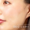 excel Seamless Stone Blush SB02 (Sister) Cheek