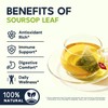 Soursop Leaf Herbal Tea (Graviola) - Caffeine & Sugar Free,