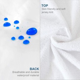 Zippered Mattress Protector 2 Pack with Ultra Soft Terry Surface, 6-Side Waterproof Mattress Encasement, Durable Zipper, Noiseless, for Standard Queen Size Mattress 60'' X 80''(11-14 in.H)