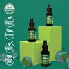 Stinging Nettle Leaf Extract Liquid Drops - USDA Organic -