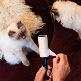 Korbond 4.9m Friendly Lint Roller-33 Sticky Citrus Scented Paper Sheets– Suitable for All Fabric Types-Removes Pet Hair from Any Surface and Clothes-No Residue, White, 1 Pack