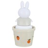Skater TWSL1D-A Miffy Salt Case with Mascot Salt and Pepper