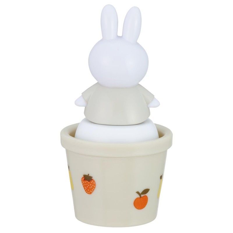 Skater TWSL1D-A Miffy Salt Case with Mascot Salt and Pepper