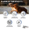 ALPHA DOG SERIES - Fucoidan Supplement All in One Multivitamin