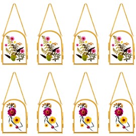 Qunclay 8 Pcs Glass Frame for Pressed Flowers 3.5 x 2.5 Inch Brass Hanging Photo Frame with Chain Arched Double Floating Picture Frames for Artwork Display DIY Dried Plant Specimen(Gold)