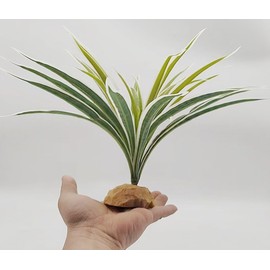 KERUIDENG Reptile Terrarium Decor, Bearded Dragon Tank Accessories，Spider Plants for Crested Gecko Leopard Lizard Chameleon Ball Python Snake Frog