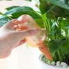 Cute Bird Plant Watering Spikes Self Watering Spikes Automatic Plant