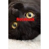 Notebook: Black Cat (Diary, Notebook)