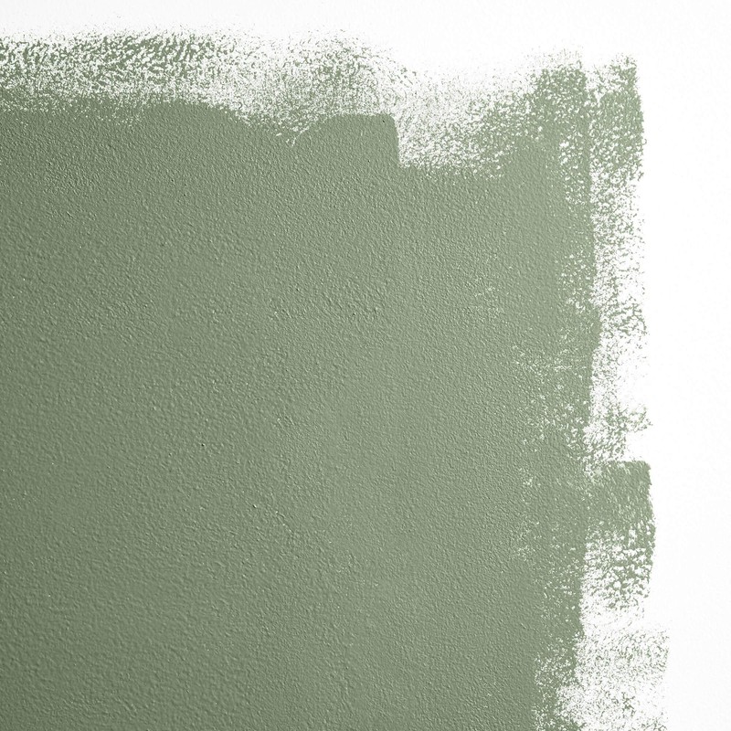 BACKDROP | Premium Interior Paint | Large Adhesive Paint Swatch