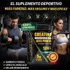 Creatina Monohidratada Suplemento Alimenticio Sin Sabor