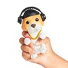 Little Live OMG Pets Have Talent Single Pack - DJ