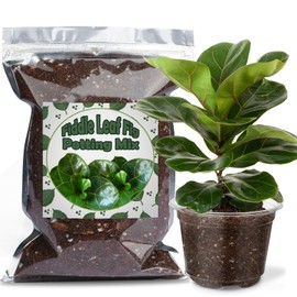 Doter Organic Fiddle Leaf Fig Potting Mix 2qt, Indoor Plants Potting Mix for All Potted Ficus Lyrata Plant, Grow Healthy houseplants Indoors