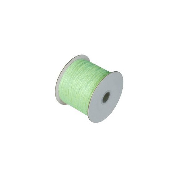 BurlapFabric.com 1.5mm Mint Green Jute Twine - 100 Yards