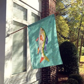 Caroline's Treasures 8355CHF Fish Mutton Snapper House Flag Large Porch Sleeve Pole Decorative Outside Yard Banner Artwork Wall Hanging, Polyester, House Size, Multicolor