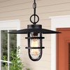 Bunkos Outdoor Pendant Light Matte Black Exterior Hanging Light, 1-Light