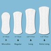 Rael Panty Liners for Women, Organic Cotton Cover - Daily