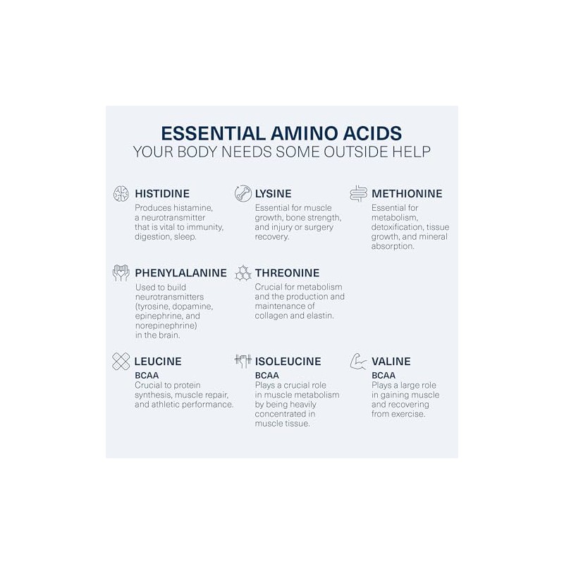 The Amino CO- Suplemento en Polvo Pre Entrenamiento con Aminoácidos