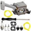 Hoypeyfiy Backpack Blower Carburetor,Backpack Leaf Blower Carb Adjusting Tools Set
