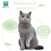 MENFORSAN Very Mild Ecological Shampoo for Cats and Kittens, 300