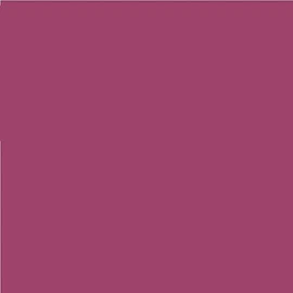 Pack of 2 Lee No. 127 Smoky Pink - 24 x 24 cm Transparent Heat Resistant Coloured Film for Photo Studio PAR 64 Headlights - Gel Colour Filter Film (Pack of 2, Lee 127 Smoky Pink)