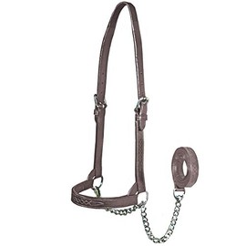 Derby Originals New and Improved Premium Flat Fancy Stitch Leather Cattle Show Halter with Matching Chain Lead