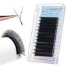 ANNAFRIS YY Ready-to-Use Fan Eyelash Extensions 2D Fan C Curl