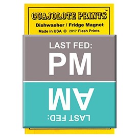 Turquoise AM PM Magnetic Pet Feeder Reminder - Refrigerator Magnet for Pet Cat Dog Owners