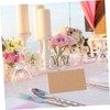iplusmile 100pcs Blank Name Place Cards for Table Setting Versatile