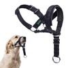 ILEPARK Dog Halter with Seat Belt, Head Harness for Dogs