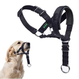 ILEPARK Dog Halter with Seat Belt, Head Harness for Dogs to Stop Pulling, Adjustable and Easy to Control (L, Black)