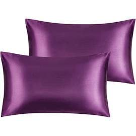 Luxury Silky Satin Pillowcases 2 Pack for Hair and Skin, Pillow Protector with Hidden Zipper Closure Cooling Pillow Cases (Standard(20"x26"), Purple)