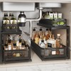 Corbyles 2 Pack 21IN-Depth Under Sink Organizer With Next-Gen Ball-Bearing