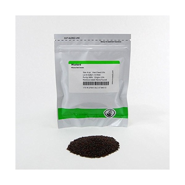 Red Streaks Mizuna Mustard Seeds - Bulk Herb Seeds for