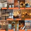 LiteHistory Dimmable T10 LED Bulb 4W Equal E26 Edison Bulb