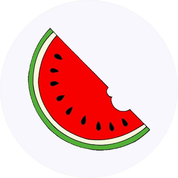 24 x 40mm Round 'Watermelon Slice' Stickers (SK00017646)