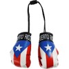 Puerto Rico window hanging car flag and boxing glove set