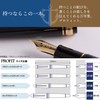Sailor Profit 21 Fountain Pen, Silver, blk