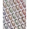 classic nail May Your Objet Glitter Magnetic Gel 8-piece set