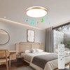 Horevo 30 cm Bluetooth Ceiling Light with Remote Control, 24