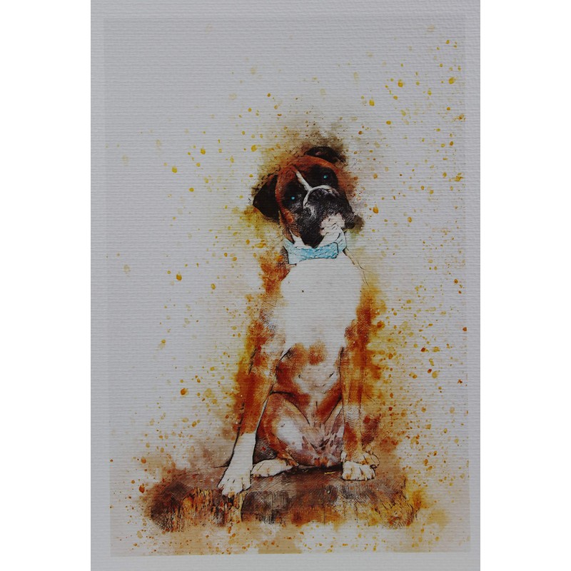 PPD Watercolor Printer Paper, 11 x 17 inches, 25 Sheets,