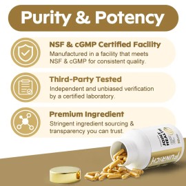 Joint Support Capsules – Glucosamine, Chondroitin, MSM, Turmeric – 120 Count