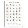 Smoothie Recipes - Picture, Smoothie Recipes Poster